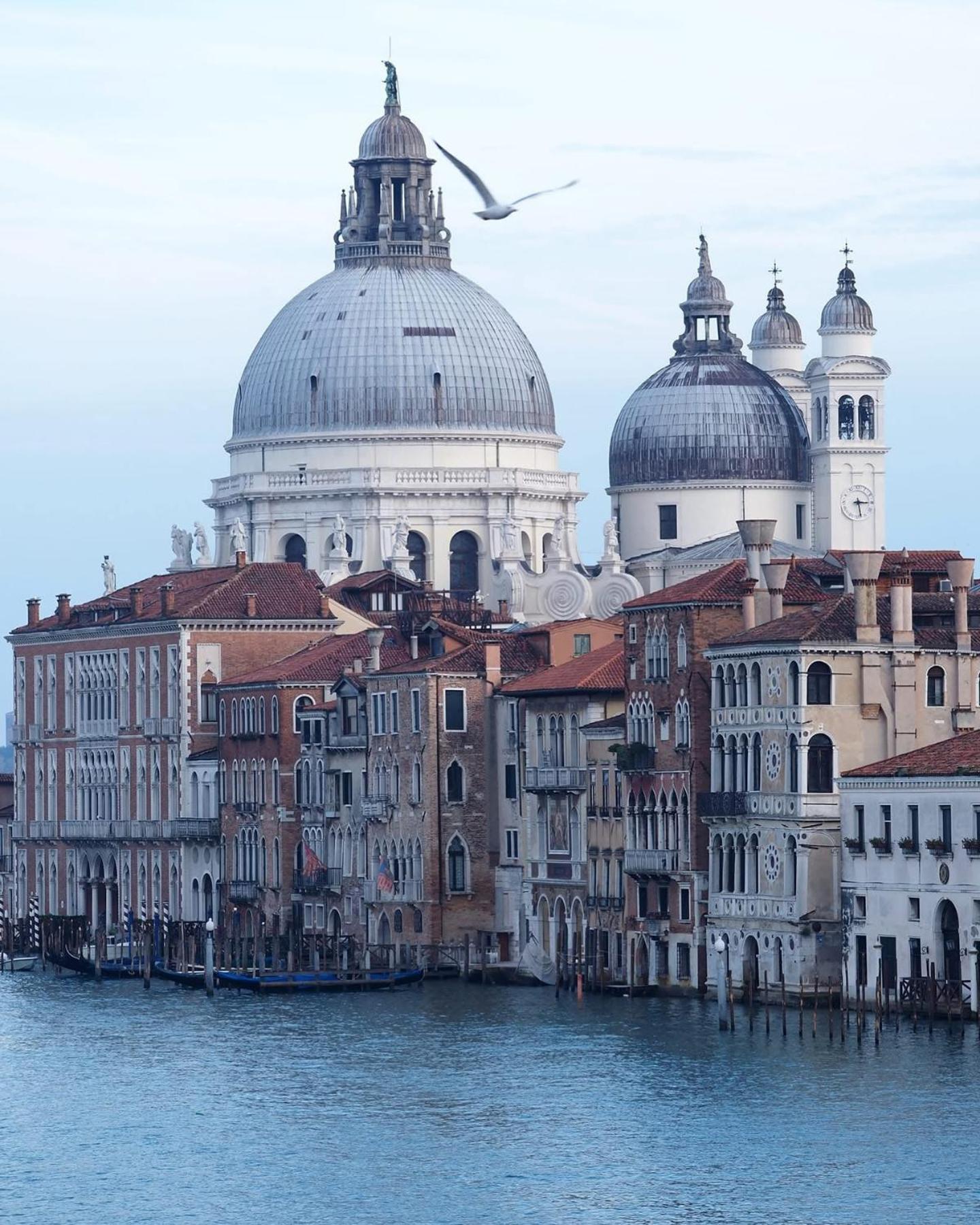 Hotel President Venezia Местре Екстериор снимка